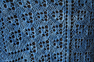 Seasidecloseup013110_small2