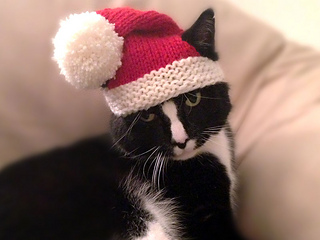 Santa-claws-4_small2