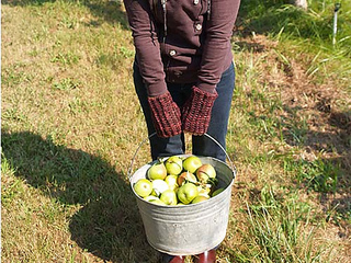 Gatheringmitts03_small2
