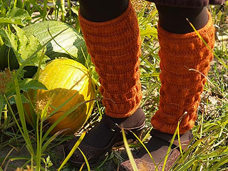 Pumpkinpatchlegwarmers03_small2