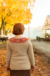 Rhinebeck_sweater-36_small2
