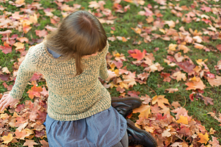 Rhinebeck_sweater-104_small2