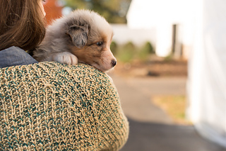 Rhinebeck_sweater-105_small2