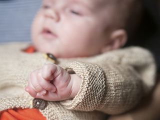 Wee_cria-17_small2