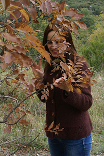 China_foglie_small2