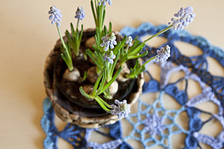 Donna_smandala_0004_small2