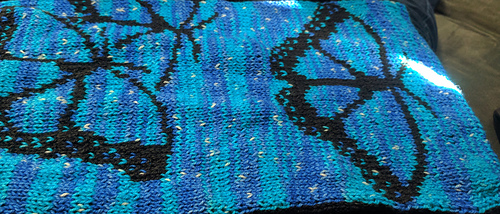 Blue_morpho_photo_preview_medium
