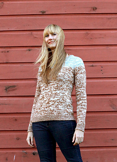 Arno_pullover_rav_10_small2