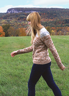 Arno_pullover_rav_04_small2