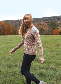 Arno_pullover_rav_03_small2