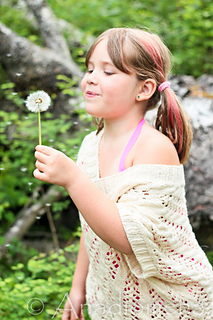 Img_0377_small2