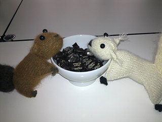 Bild3235_small2