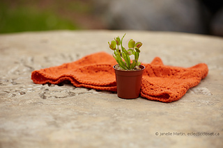 Knitting-june08-2014_mg_9270_scaled_watermarked_small2