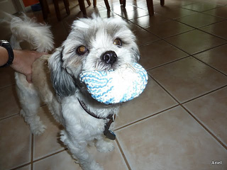 P1020451_small2