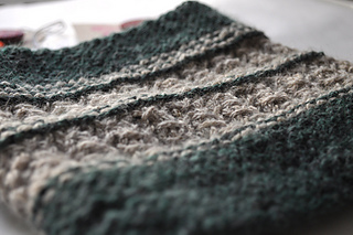 Asparagus_cowl_kal_3_small2