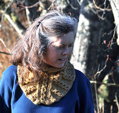 Shibui_cowl_downward_rav_small