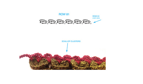 Croc_row_81_medium