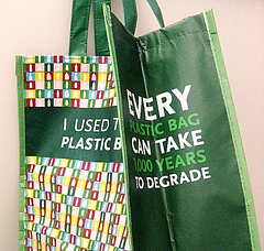 Greenbagside-small_medium2_small