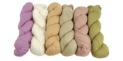 Sampler_450_225_medium