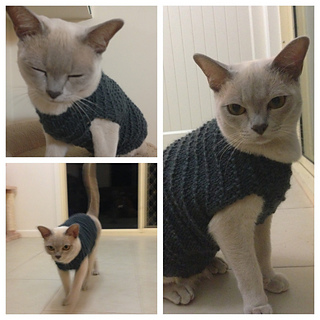 Ravelry: Ultimate Cat Jumper pattern by Mandy Cilento
