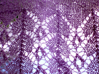 P1030771__640x480__small2