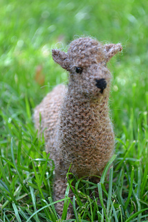 Dsc_0029_small2