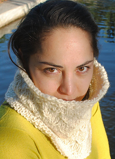 Two_hour_ccowl_photo_3_small2