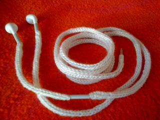 Photo_small2