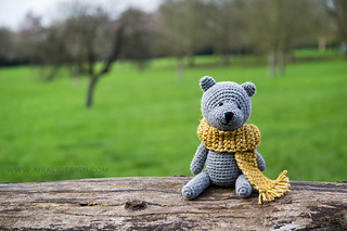 Teddy_dsc2995_low_small2
