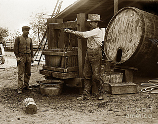 Making_wine__circa_1920s__california__2__small2