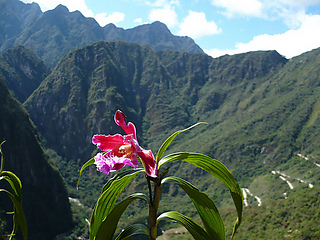 Camino-inca3_medium2_small2