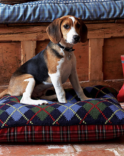 Ravelry: # 28 Argyle Bean Bag Dog Bed pattern by Debbie Bliss