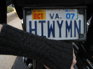 Gray_highwayman2_small2