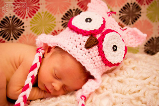 Owl_small2