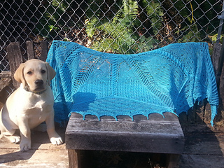 2015-08-07_10