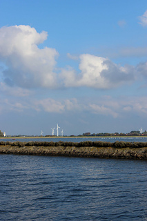 Img_6559_small2