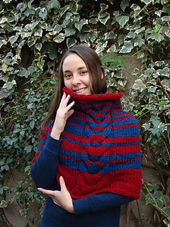 Poncho02_small2