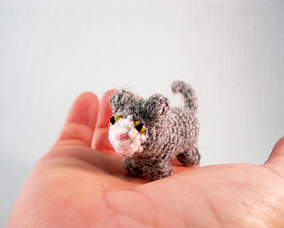 Mini_cats_03_small2