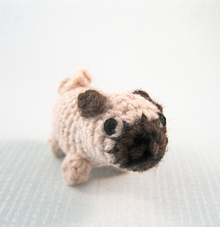 Pug_03_small2