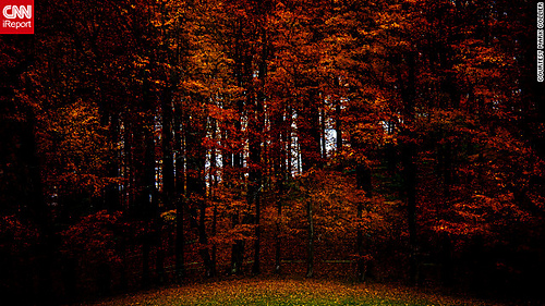 121015074920-autumn-red-irpt-horizontal-gallery_medium