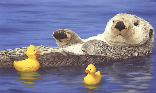 Seaotterwithduckspalmore_medium