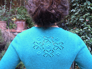 Backdetail_small2