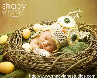 Owlnest_small2