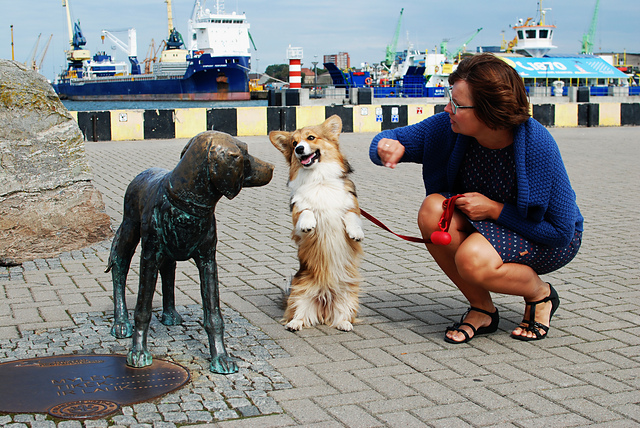 DSC_7911_medium2.JPG