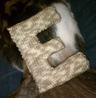 Imag6694eeeee_small2