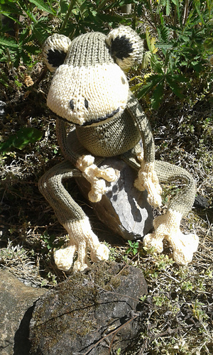 Fred_the_frog__2__medium