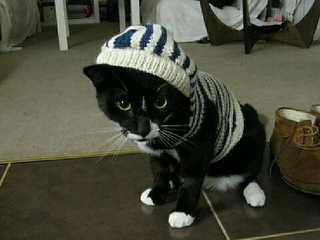 Unhappy_kitty_in_sailor_outfit_small2