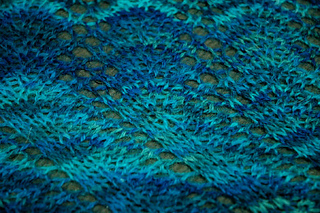 Grapevineshawltransition_small2