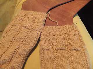 Owlies2_small2