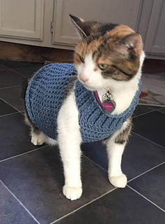 Ravelry: Cat Sweater pattern by Sarah Petersen